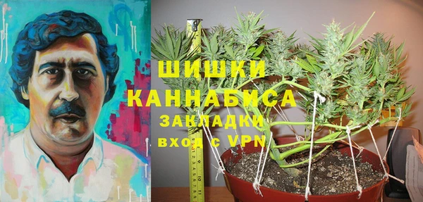 ГАЛЛЮЦИНОГЕННЫЕ ГРИБЫ Горнозаводск