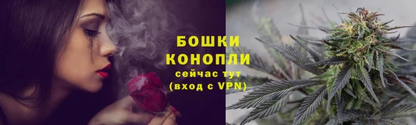 не бодяженный Ладушкин
