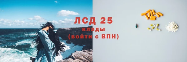 ГАЛЛЮЦИНОГЕННЫЕ ГРИБЫ Горнозаводск