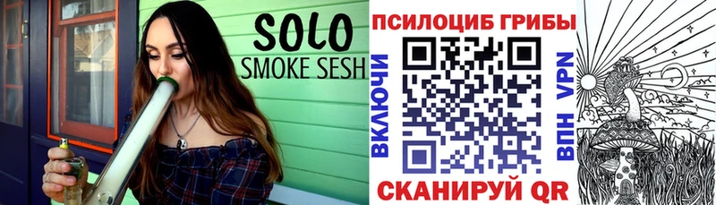 Псилоцибиновые грибы мухоморы  Тогучин 